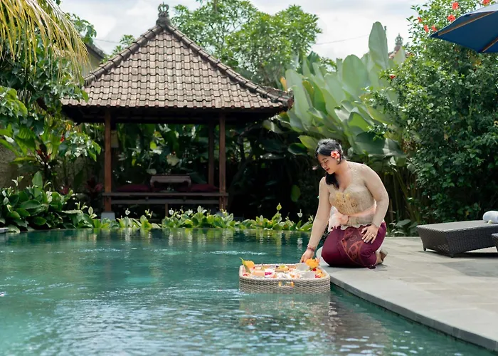 Ayu Soca